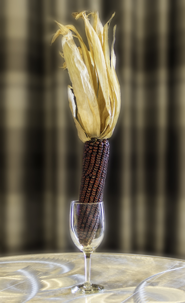 An ear of South Carolina's Jimmy Red Corn. Photo ©2017, Mark Gillespie/CaskStrength Media.