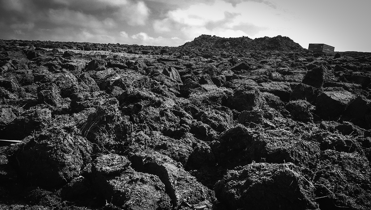 When I see freshly-cut peat drying in the Scottish winds, I smile and think "peat smoke...my favorite greenhouse gas!" Of course, the peat used in malting barley for whisky has a minimal effect on the climate...but man, it smells good, and that's why this Orkney peat bog is our Whisky Photo of the week!