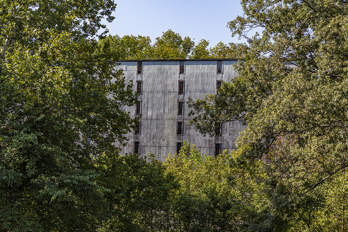 A Bourbon rick house surrounded by oak trees in Kentucky. File photo ©2020, Mark Gillespie/CaskStrength Media.