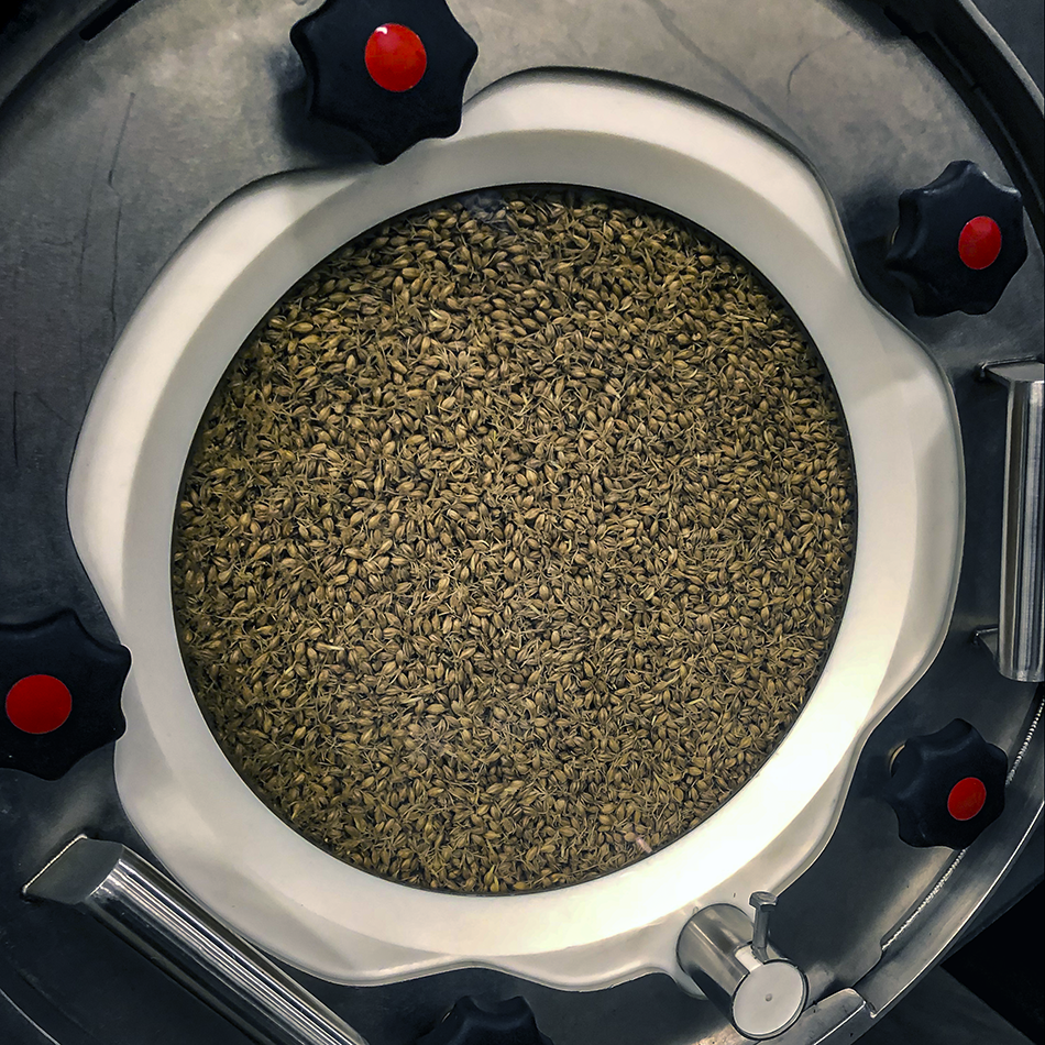 Skagit Valley barley being malted in one of the drums at Skagit Valley Maltings. Photo ©2020, Mark Gillespie/CaskStrength Media.